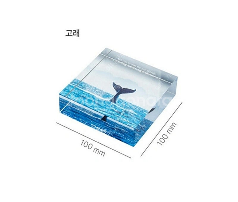 새상품) 알라딘 굿즈 사각 투명 문진 _ 고래, 오로라--4