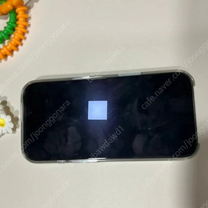 아이폰 16 프로맥스 256gb (자가수리)