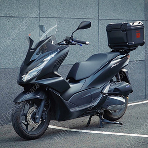 [부산] 혼다 pcx 신차급 짧은키로수