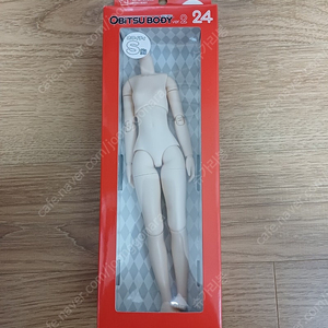 XS 퓨어니모 노멀바디 오비츠 24 S 미백바디 판매합니다