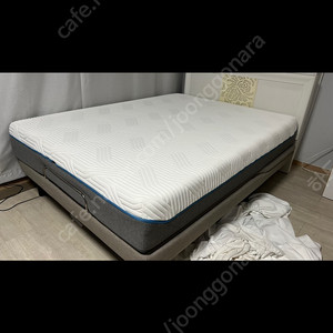 템퍼 클라우드 25 / 모션베드 헤드까지 가능합니다