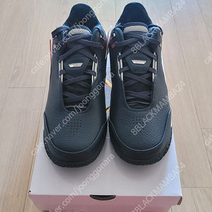 [280~285] 나이키 자2 르브론넥젠 조던 자이언3 농구화 윌슨 퓨어샷 농구공 팝니다.(판매중)