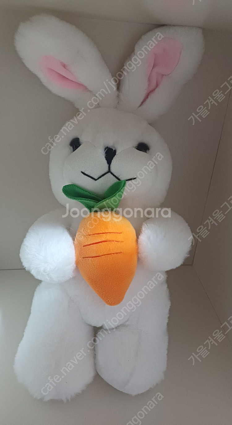 당근 든 토끼 인형 40cm--0