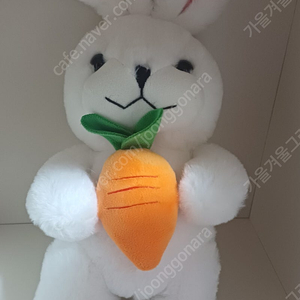 당근 든 토끼 인형 40cm