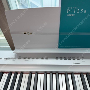 야마하 p125a 4개월 중고 알뜰하게 처분합니다 !!