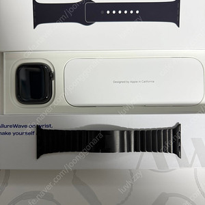 급처) 애플워치10 46mm 셀룰러 슬레이트 티타늄 + 스트랩 팔아요