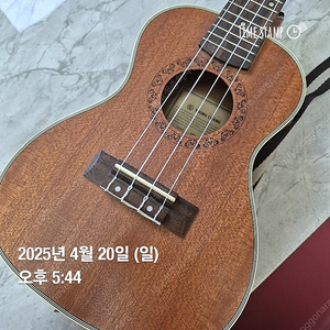 영창 우쿨렐레 SYK205C 양천구목동 우크렐레 가방포함