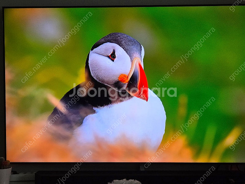 삼성 8시리즈 UHD 75인치 TV KU75UT8070...--1