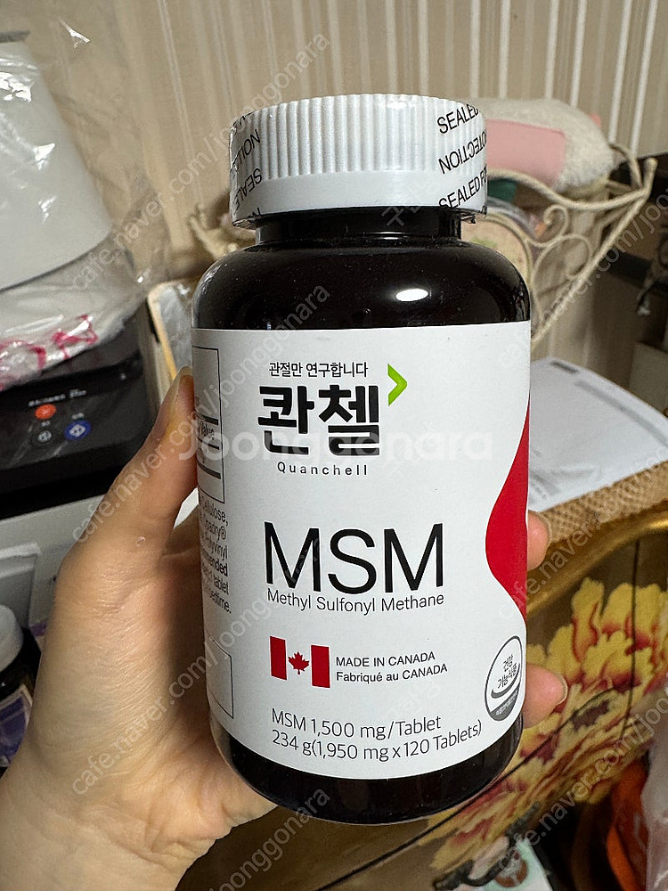 콴첼 MSM--1