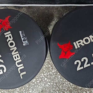 아이언불 TPU 우레탄 덤벨(아령) 고중량 22.5kg 두개/광주광역시 직거래
