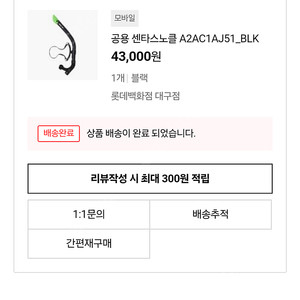 아레나 스노클