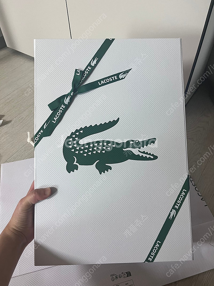 (새상품+포장,쇼핑백) 라코스테 신세계정품 25ss 라...--2