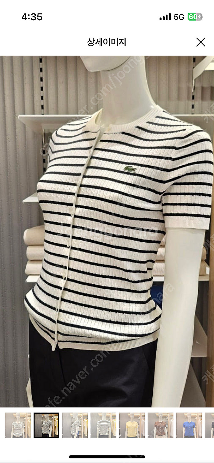 (새상품+포장,쇼핑백) 라코스테 신세계정품 25ss 라...--5