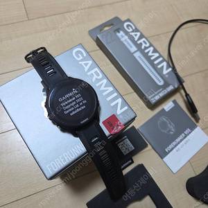 가민 포러너 955
