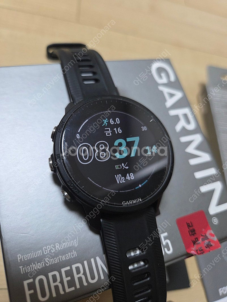 가민 포러너 955--1