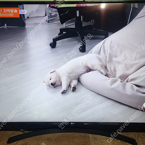 LG 65인치(65UK6800) 스마트 4K UHD LED TV