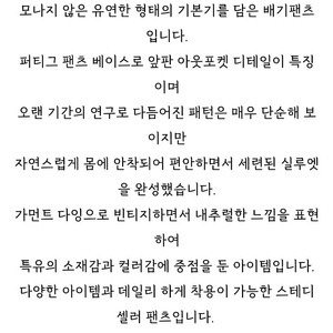 모노크롬 로아 배기팬츠