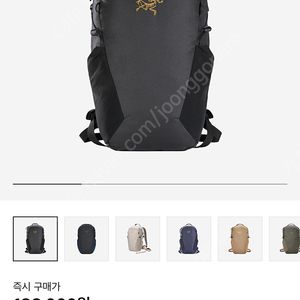 아크테릭스 맨티스 16