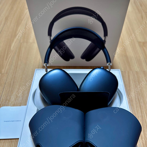 애플 에어팟 맥스 usb c 버전 판매합니다