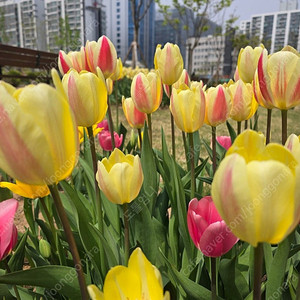 여기어때 숙박 대실 예약해 드려요