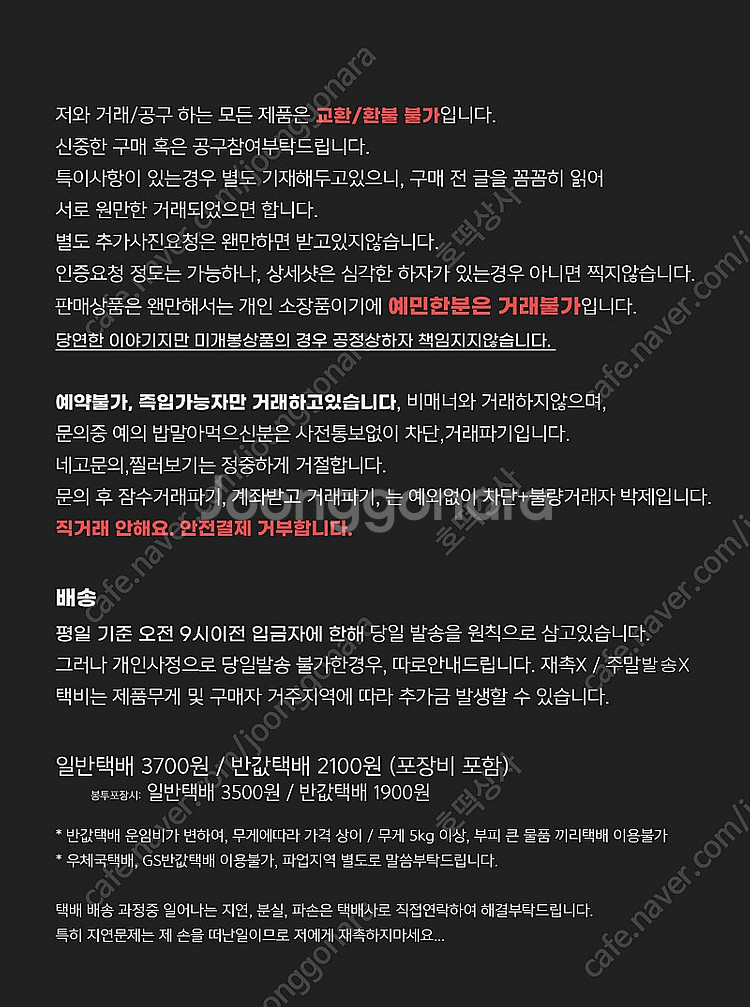 포켓몬스터 피카츄 인형 (타카라토미 /월간피카츄/야돈/...--1