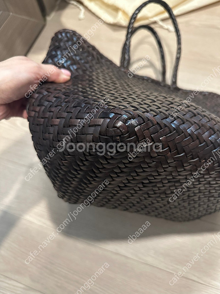 드래곤디퓨전 그레이스스몰 다크브라운--5