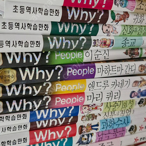 why 책