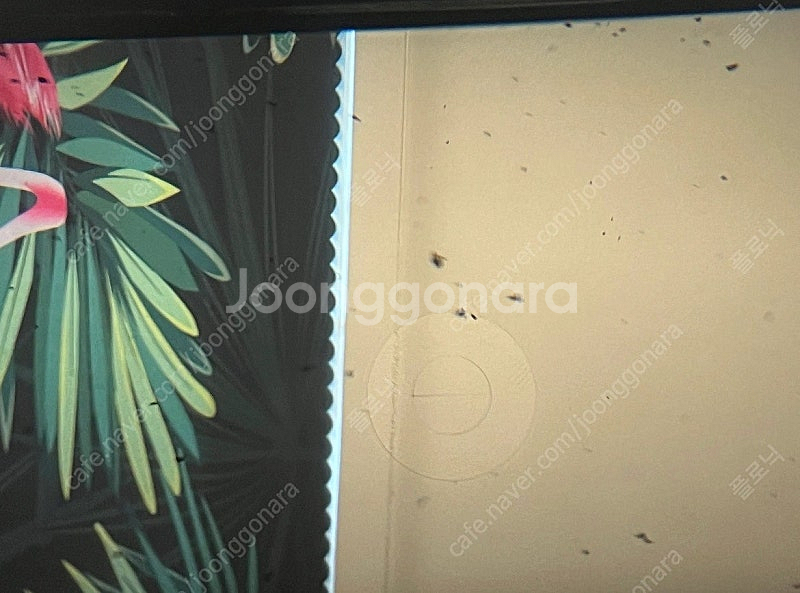 미놀타 X500 + MC ROKKOR PG 50mm 1.4--5