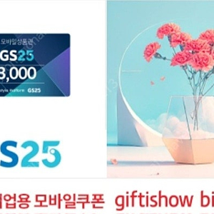 gs25 3000원권