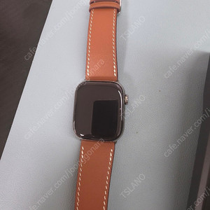 애플워치10 티타늄 내추럴 42mm [케어플러스]