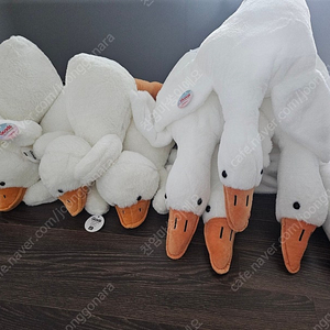(새상품) 오리, 거위 인형