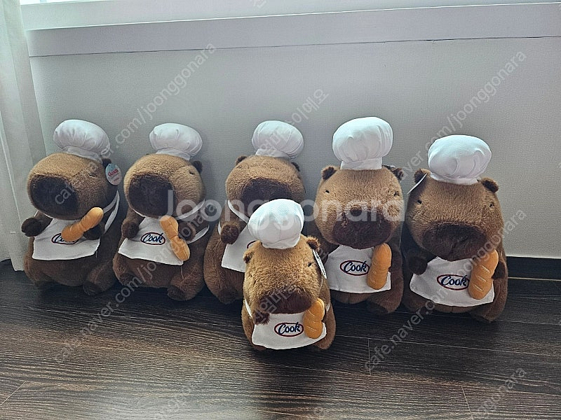 (새상품) 카피바라 인형--0