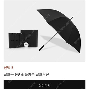 제네시스 골프공 9구 & 우산 (새제품)
