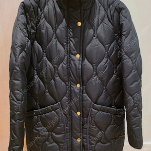 J Crew 아우터(새옷)