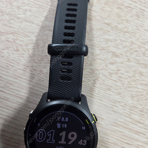 가민 포러너 255 뮤직 블랙