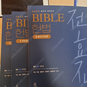 전효진헌법기본서2023