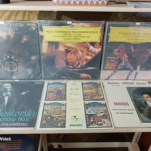 클래식 LP 12장 35000원입니다