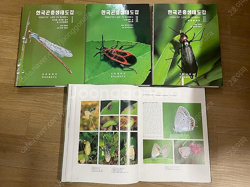 한국곤충생태도감(고려대학교 한국곤충연구소)--3