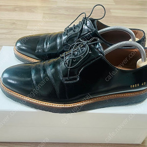 (260mm) 커먼프로젝트 샤인더비 / 40