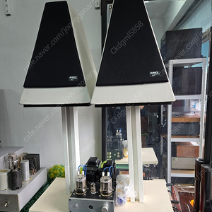 아방세 피라미드 150 스피커