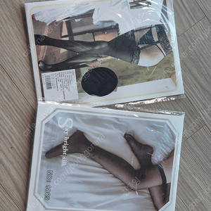 섹시스타킹