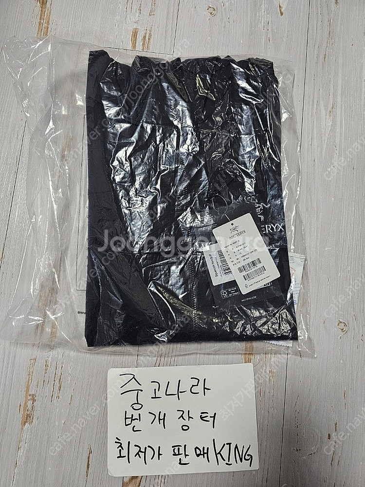 [L] 아크테릭스 스쿼미시 후디 블랙--0