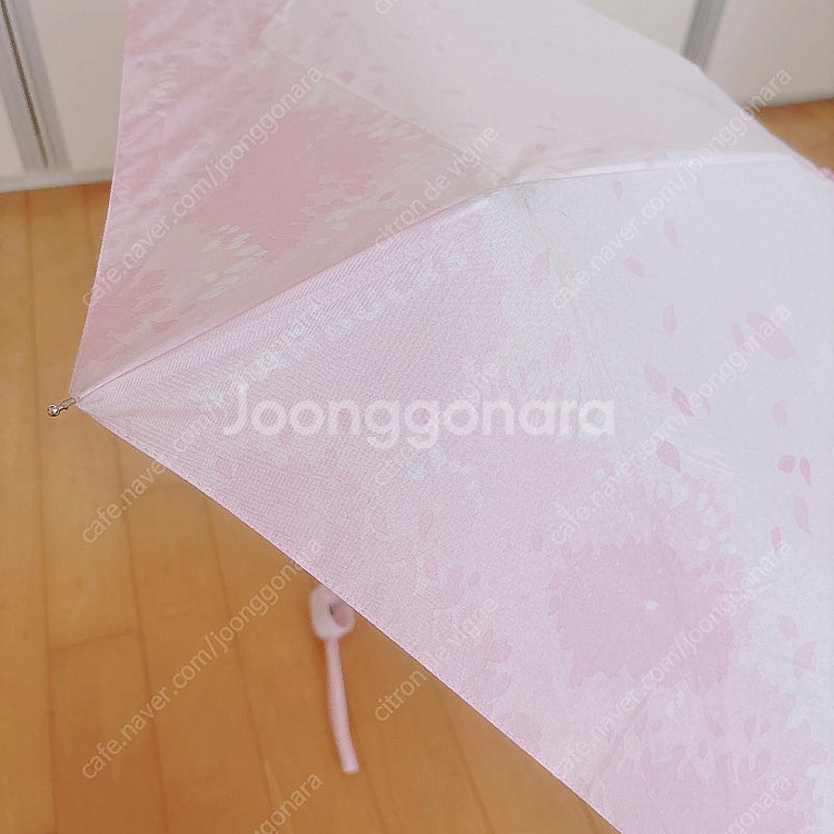 새상품 스타벅스 투명 우산 그린 + 스타벅스 벚꽃 5단...--5
