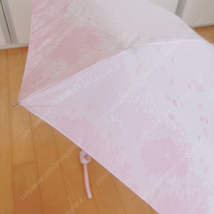 새상품 스타벅스 투명 우산 그린 + 스타벅스 벚꽃 5단 양산 우산 이미지