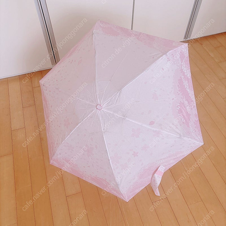 새상품 스타벅스 투명 우산 그린 + 스타벅스 벚꽃 5단 양산 우산 이미지