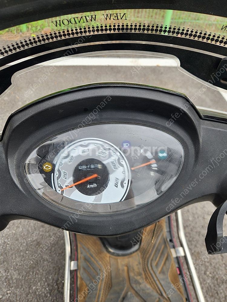 라온100f--5