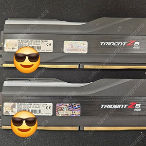 지스킬 GSKILL DDR5 PC6000 32기가 (16GBx2) 블랙 판매