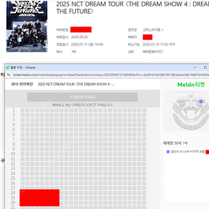 NCT DREAM 투어 엔시티 콘서트 일반석 금 토 한자리 양도