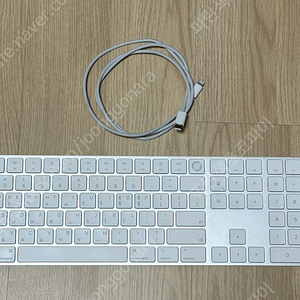 Apple 매직키보드 with Touch ID and Numeric 키보드 흰색- A2520 팝니다