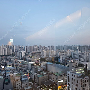 [5/19또는5/20] 서울/광명<->울산/부산/포항 KTX 50%할인 예매
